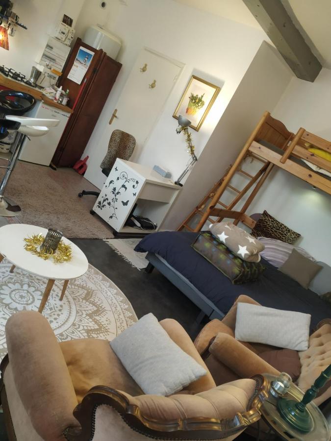 Chaleureux Studio Independant Encausse-les-Thermes Eksteriør bilde